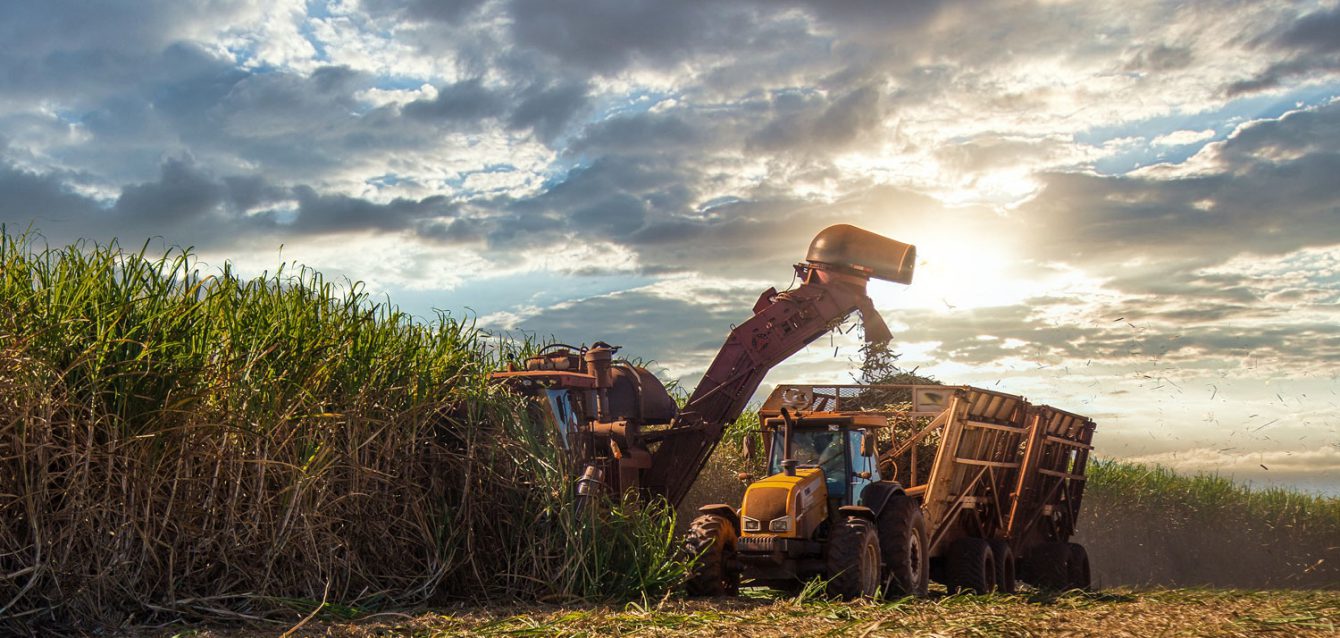 setor-sucroalcooleiro